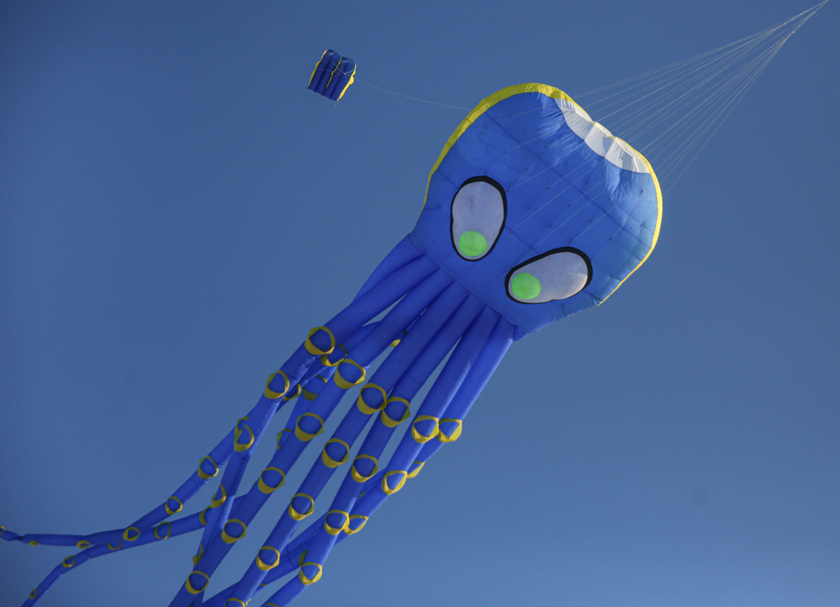 Color the Wind kite festival 02-15-2020 (85).jpg